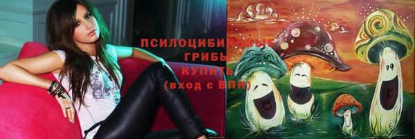 героин Покачи